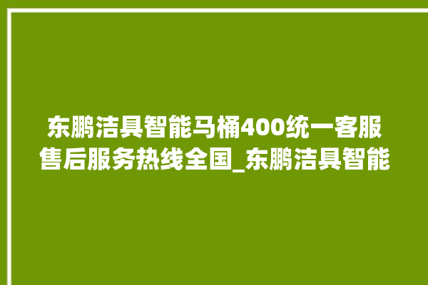 东鹏洁具智能马桶400统一客服售后服务热线全国_东鹏洁具智能马桶冲水无力怎么解决 。马桶