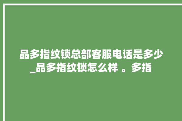 品多指纹锁总部客服电话是多少_品多指纹锁怎么样 。多指