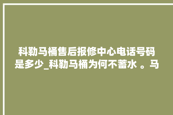 科勒马桶售后报修中心电话号码是多少_科勒马桶为何不蓄水 。马桶