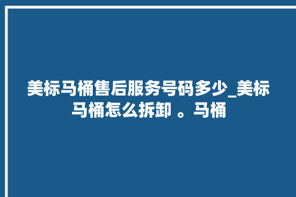 美标马桶售后服务号码多少_美标马桶怎么拆卸 。马桶