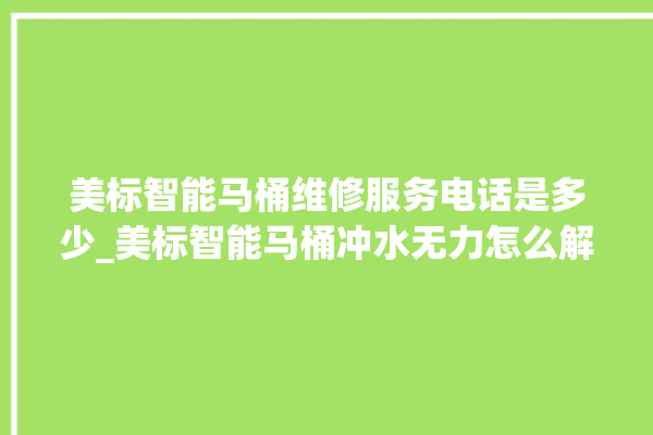 美标智能马桶维修服务电话是多少_美标智能马桶冲水无力怎么解决 。马桶