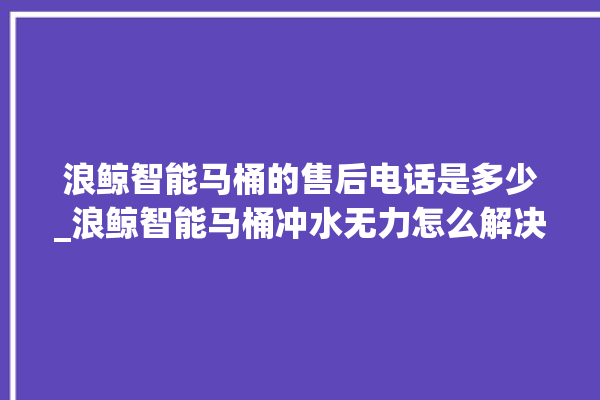 浪鲸智能马桶的售后电话是多少_浪鲸智能马桶冲水无力怎么解决 。马桶