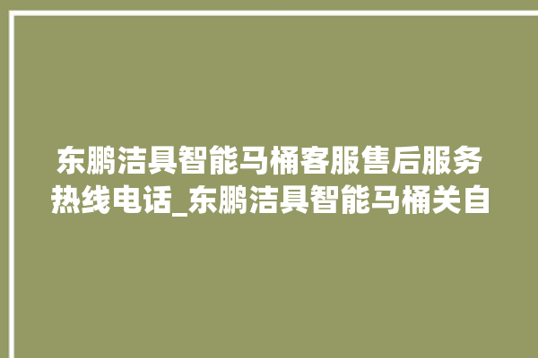 东鹏洁具智能马桶客服售后服务热线电话_东鹏洁具智能马桶关自动感应 。马桶