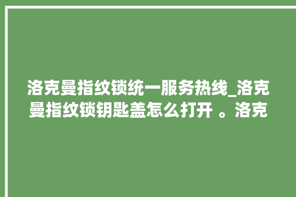 洛克曼指纹锁统一服务热线_洛克曼指纹锁钥匙盖怎么打开 。洛克