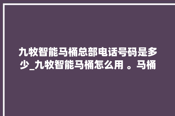 九牧智能马桶总部电话号码是多少_九牧智能马桶怎么用 。马桶