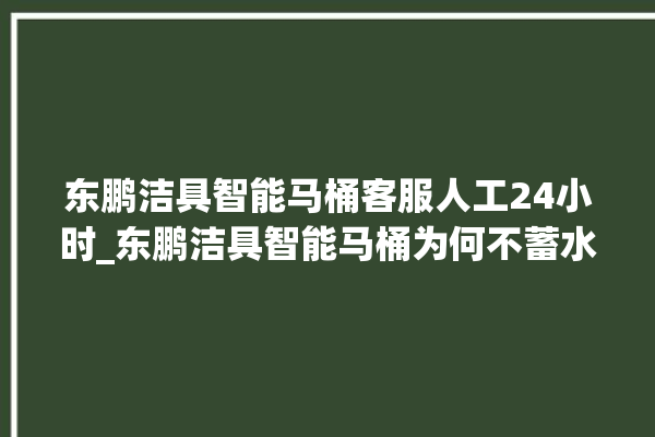 东鹏洁具智能马桶客服人工24小时_东鹏洁具智能马桶为何不蓄水 。马桶