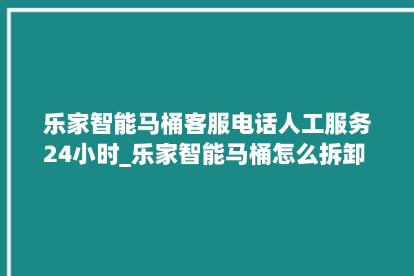 乐家智能马桶客服电话人工服务24小时_乐家智能马桶怎么拆卸 。马桶