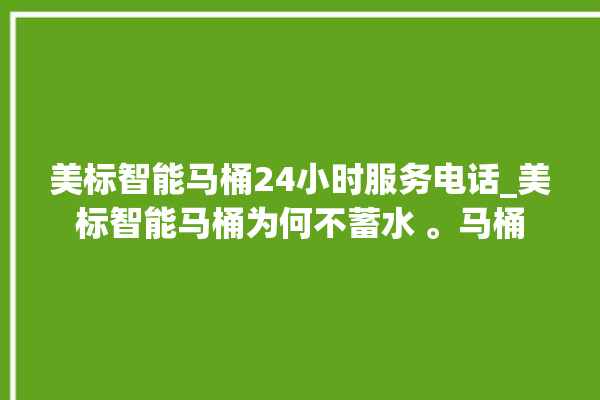 美标智能马桶24小时服务电话_美标智能马桶为何不蓄水 。马桶