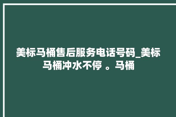 美标马桶售后服务电话号码_美标马桶冲水不停 。马桶