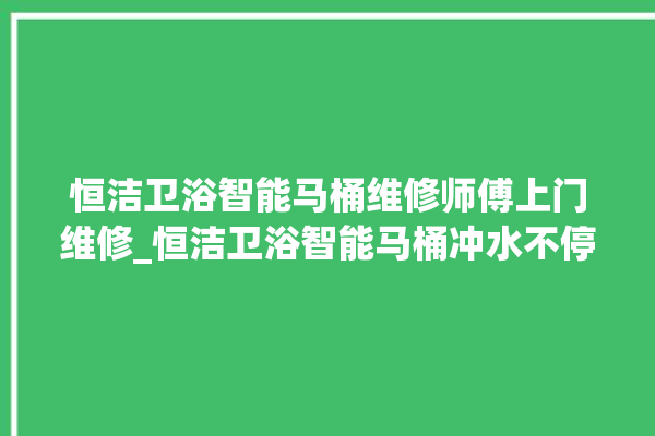 恒洁卫浴智能马桶维修师傅上门维修_恒洁卫浴智能马桶冲水不停 。马桶