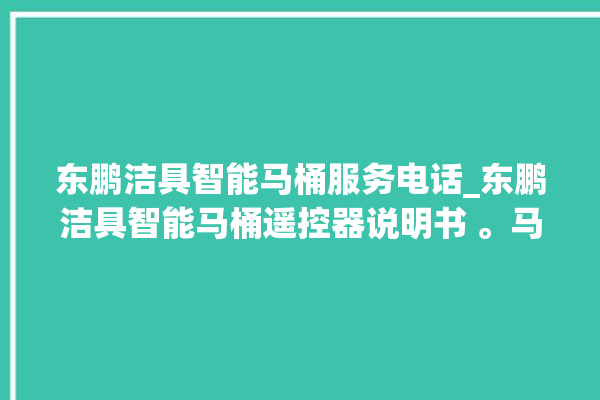 东鹏洁具智能马桶服务电话_东鹏洁具智能马桶遥控器说明书 。马桶