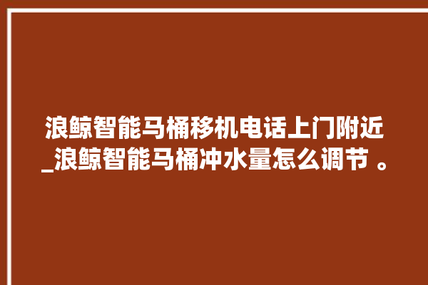 浪鲸智能马桶移机电话上门附近_浪鲸智能马桶冲水量怎么调节 。马桶