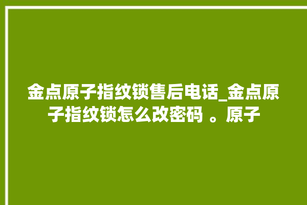 金点原子指纹锁售后电话_金点原子指纹锁怎么改密码 。原子