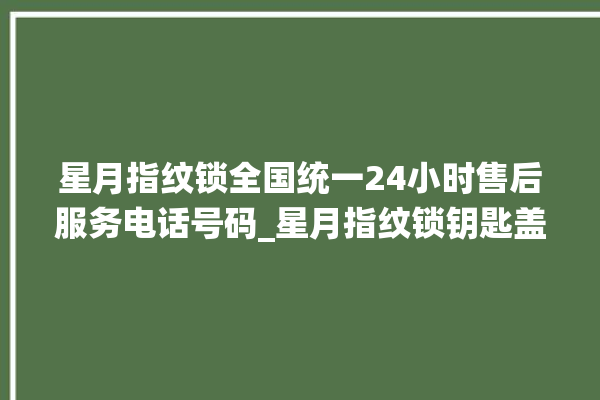 星月指纹锁全国统一24小时售后服务电话号码_星月指纹锁钥匙盖怎么打开 。星月