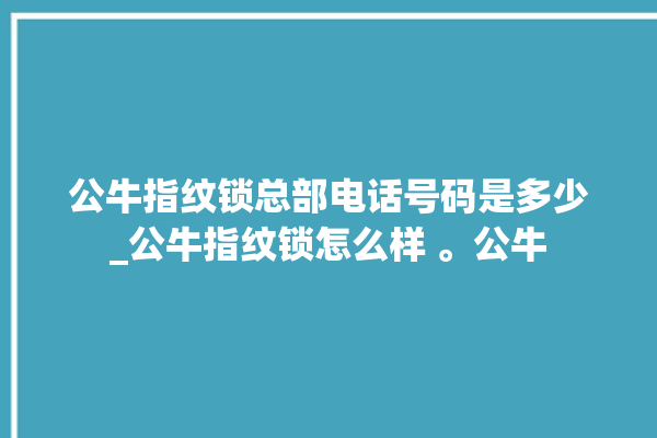 公牛指纹锁总部电话号码是多少_公牛指纹锁怎么样 。公牛