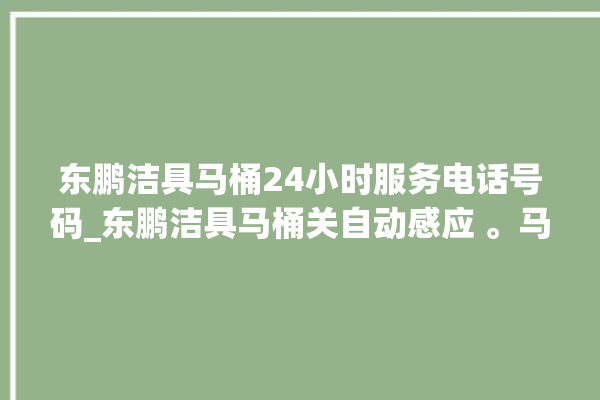 东鹏洁具马桶24小时服务电话号码_东鹏洁具马桶关自动感应 。马桶