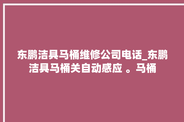 东鹏洁具马桶维修公司电话_东鹏洁具马桶关自动感应 。马桶