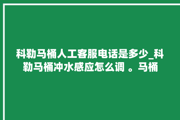 科勒马桶人工客服电话是多少_科勒马桶冲水感应怎么调 。马桶