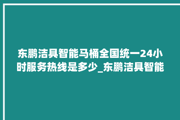 东鹏洁具智能马桶全国统一24小时服务热线是多少_东鹏洁具智能马桶冲水量怎么调节 。马桶