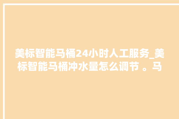 美标智能马桶24小时人工服务_美标智能马桶冲水量怎么调节 。马桶