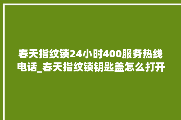 春天指纹锁24小时400服务热线电话_春天指纹锁钥匙盖怎么打开 。春天