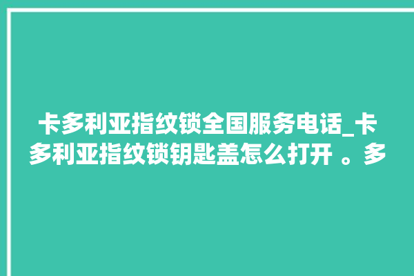 卡多利亚指纹锁全国服务电话_卡多利亚指纹锁钥匙盖怎么打开 。多利亚