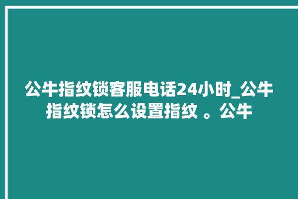 公牛指纹锁客服电话24小时_公牛指纹锁怎么设置指纹 。公牛