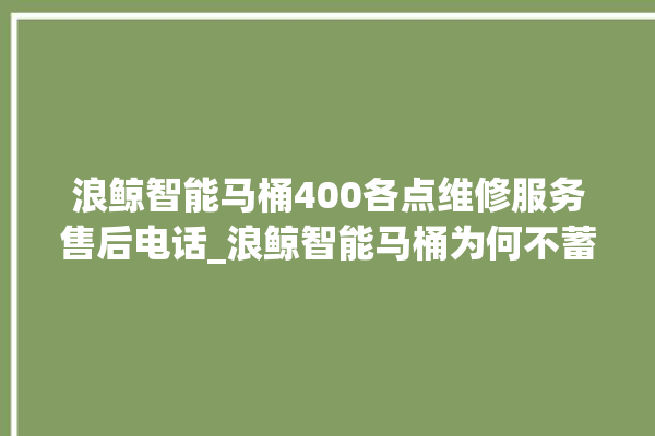 浪鲸智能马桶400各点维修服务售后电话_浪鲸智能马桶为何不蓄水 。马桶