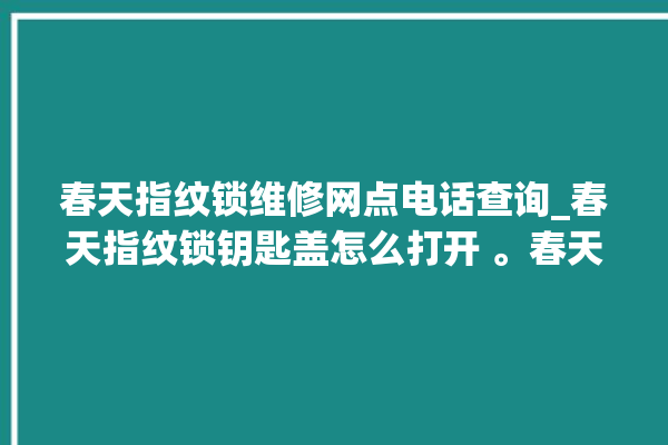 春天指纹锁维修网点电话查询_春天指纹锁钥匙盖怎么打开 。春天