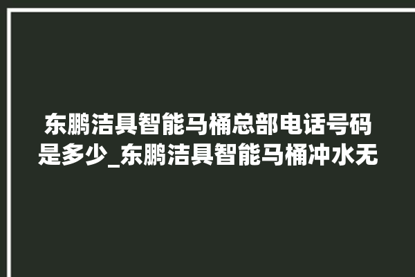 东鹏洁具智能马桶总部电话号码是多少_东鹏洁具智能马桶冲水无力怎么解决 。马桶