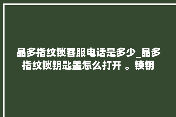 品多指纹锁客服电话是多少_品多指纹锁钥匙盖怎么打开 。锁钥