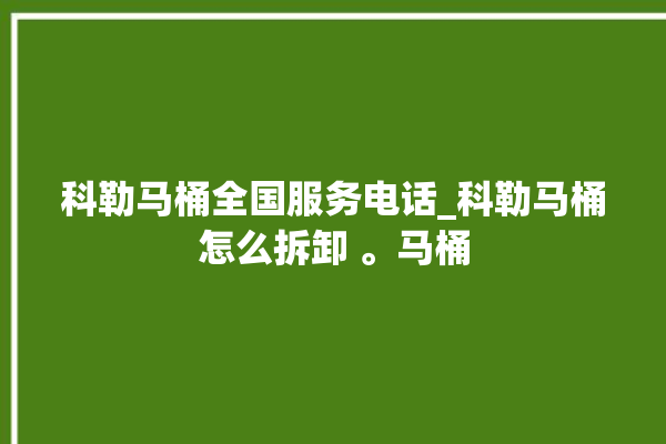 科勒马桶全国服务电话_科勒马桶怎么拆卸 。马桶