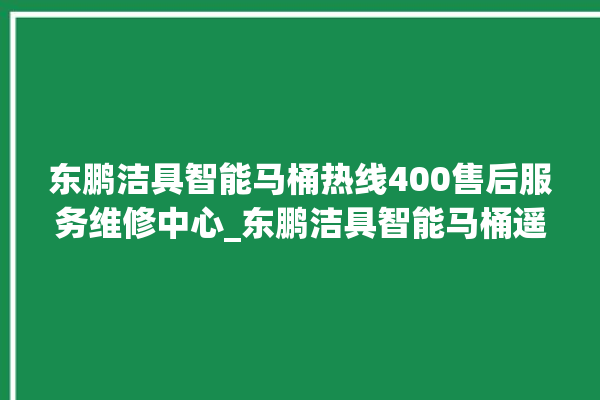 东鹏洁具智能马桶热线400售后服务维修中心_东鹏洁具智能马桶遥控器说明书 。马桶