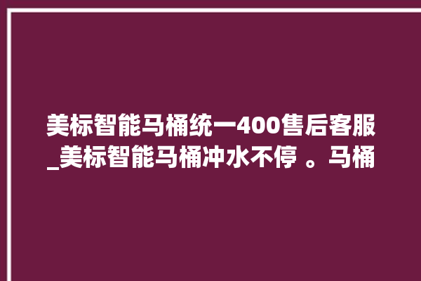 美标智能马桶统一400售后客服_美标智能马桶冲水不停 。马桶