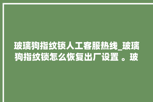 玻璃狗指纹锁人工客服热线_玻璃狗指纹锁怎么恢复出厂设置 。玻璃