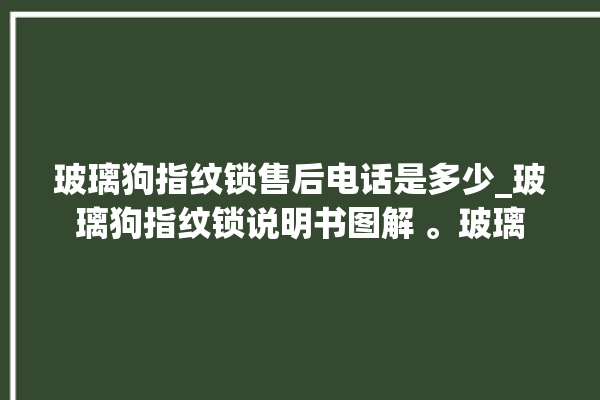 玻璃狗指纹锁售后电话是多少_玻璃狗指纹锁说明书图解 。玻璃