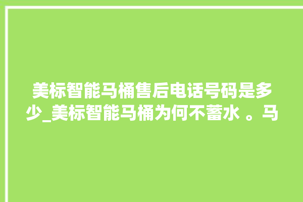 美标智能马桶售后电话号码是多少_美标智能马桶为何不蓄水 。马桶