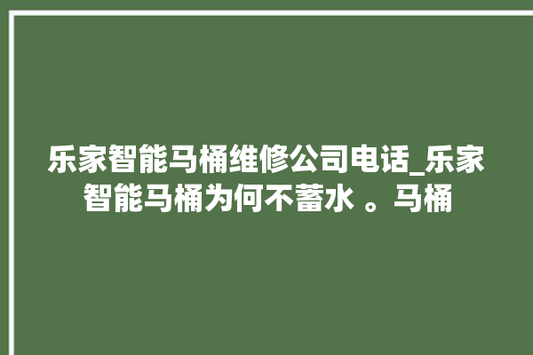 乐家智能马桶维修公司电话_乐家智能马桶为何不蓄水 。马桶