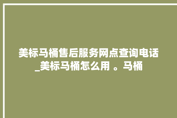 美标马桶售后服务网点查询电话_美标马桶怎么用 。马桶