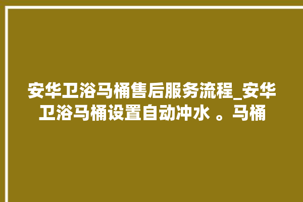 安华卫浴马桶售后服务流程_安华卫浴马桶设置自动冲水 。马桶