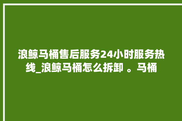 浪鲸马桶售后服务24小时服务热线_浪鲸马桶怎么拆卸 。马桶