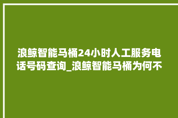 浪鲸智能马桶24小时人工服务电话号码查询_浪鲸智能马桶为何不蓄水 。马桶