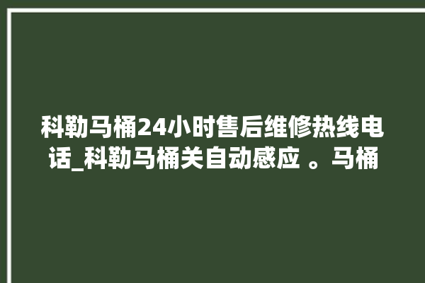 科勒马桶24小时售后维修热线电话_科勒马桶关自动感应 。马桶