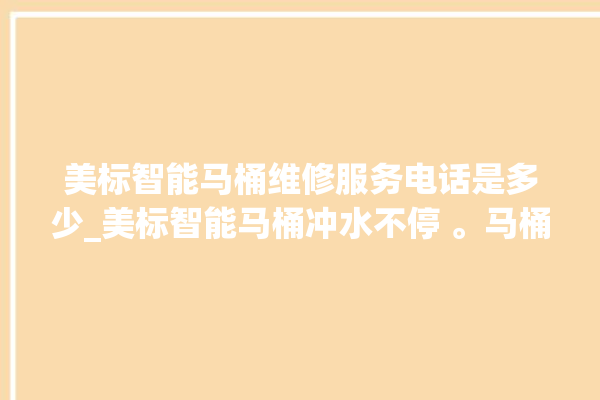 美标智能马桶维修服务电话是多少_美标智能马桶冲水不停 。马桶