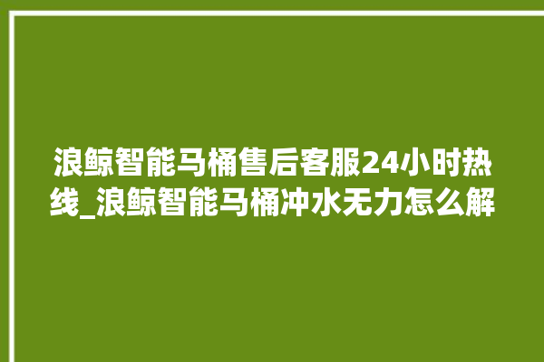 浪鲸智能马桶售后客服24小时热线_浪鲸智能马桶冲水无力怎么解决 。马桶