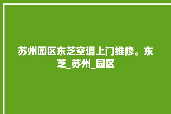 苏州园区东芝空调上门维修。东芝_苏州_园区