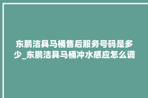 东鹏洁具马桶售后服务号码是多少_东鹏洁具马桶冲水感应怎么调 。马桶