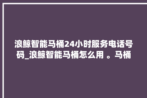 浪鲸智能马桶24小时服务电话号码_浪鲸智能马桶怎么用 。马桶