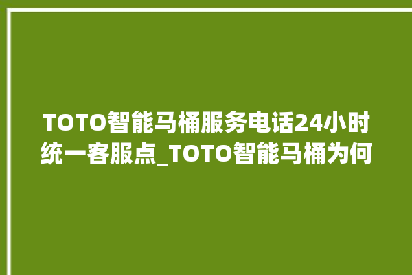 TOTO智能马桶服务电话24小时统一客服点_TOTO智能马桶为何不蓄水 。马桶