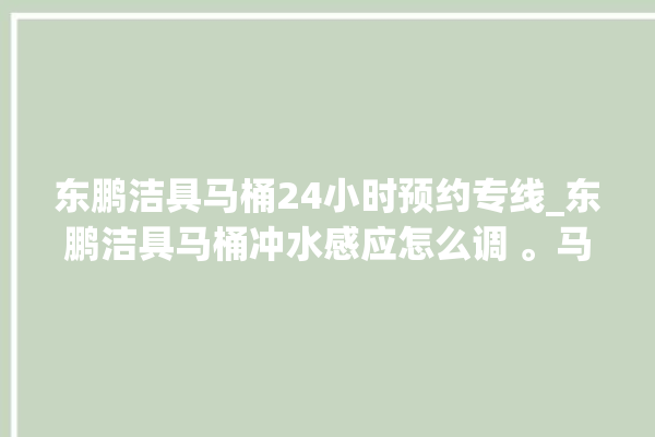 东鹏洁具马桶24小时预约专线_东鹏洁具马桶冲水感应怎么调 。马桶